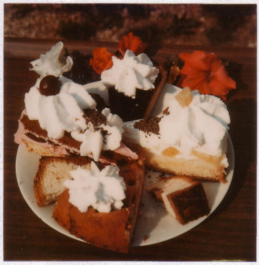 Lichtenegg Kaffee Kuchen und Torten